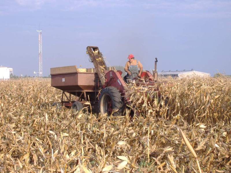 400 Diesel & 2MH Corn Picker - Technical IH Talk - Red Power Magazine ...