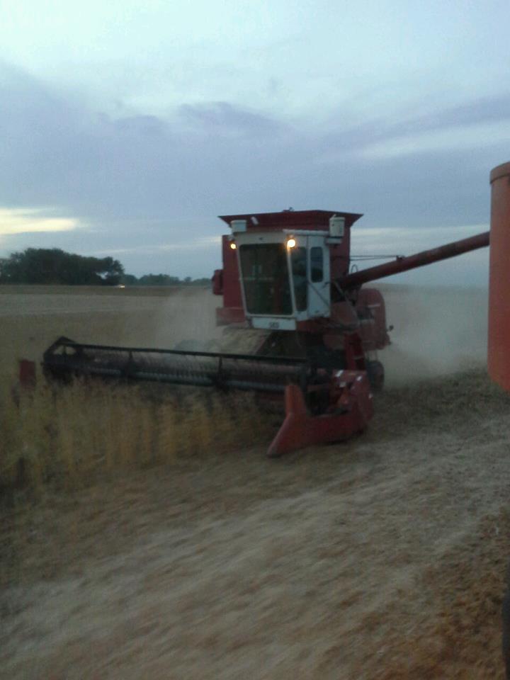 New! We don't even know what new means!!! 503 & 403 combines - General ...