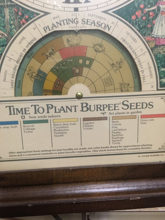 Burpee Seeds clock - General Chat - Red Power Magazine Community