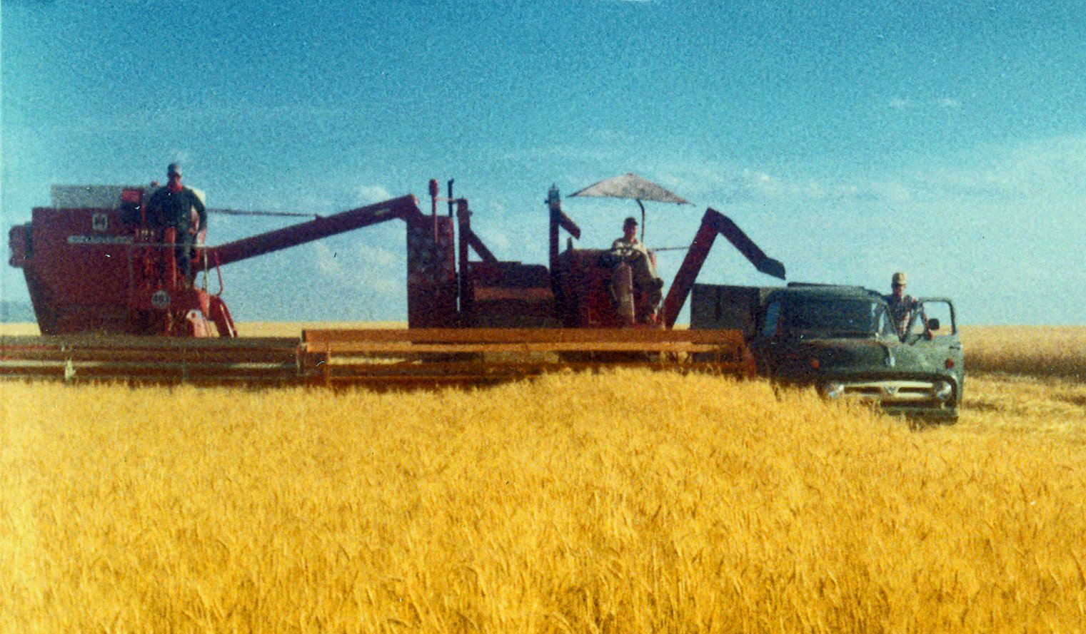 IH 503 and 403 combines - General Chat - Red Power Magazine Community
