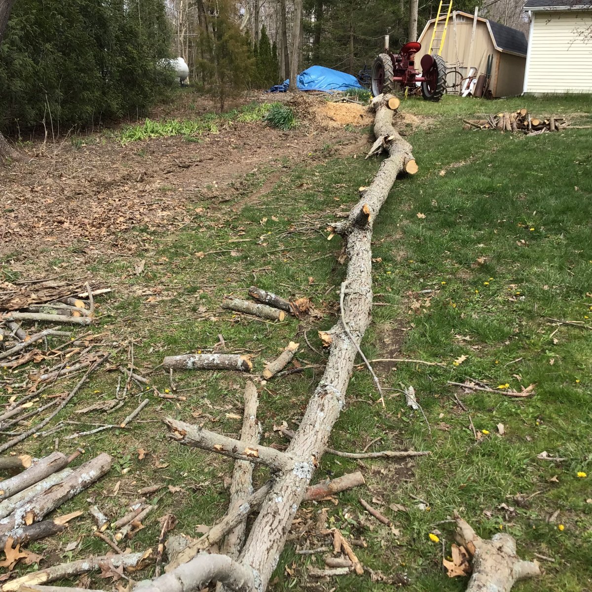 I had condenser Fail on Farmall C Technical IH Talk Red