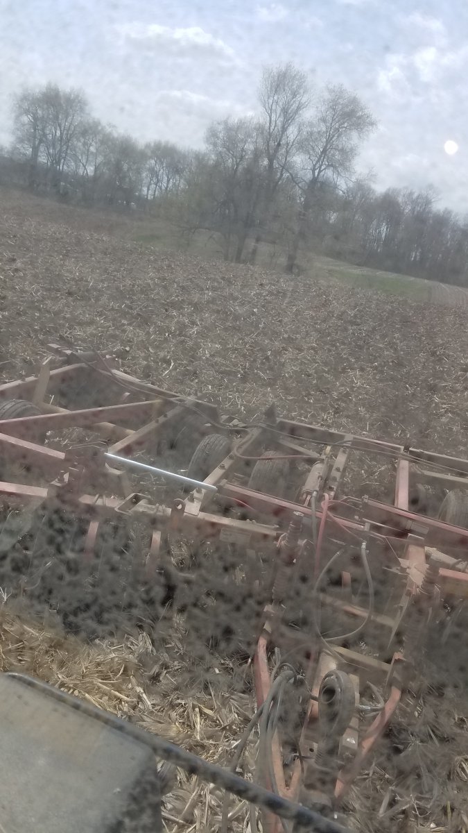 My spring and early summer fieldwork pictures 2020 - General Chat - Red ...