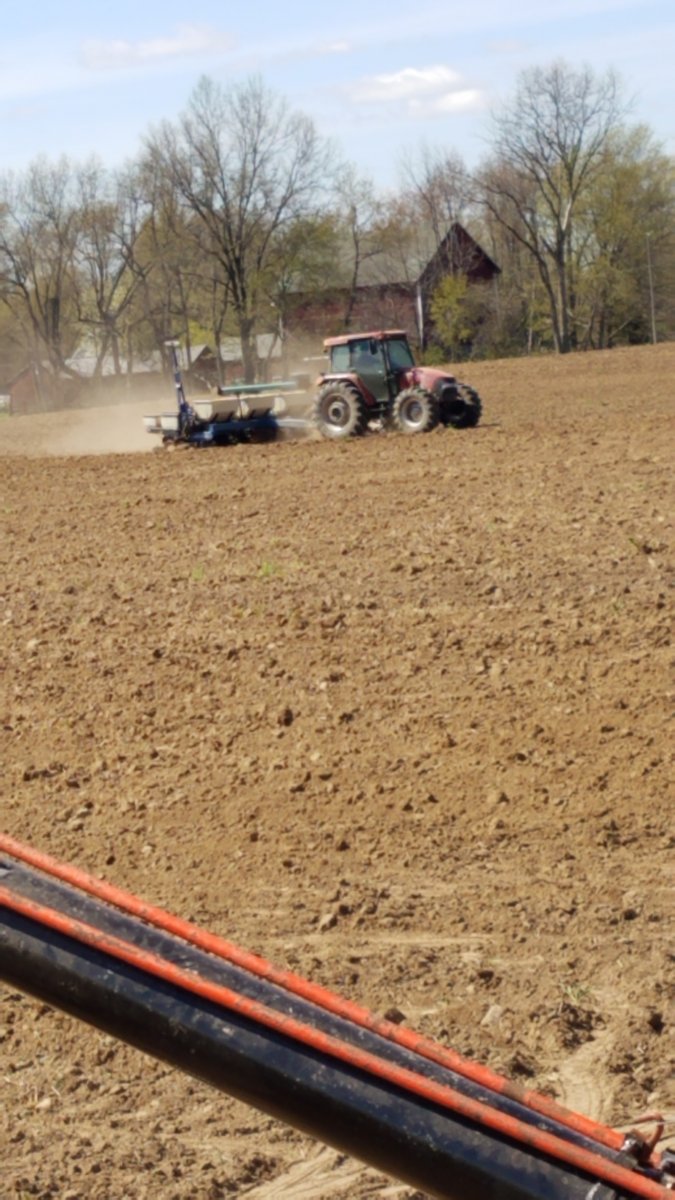 My spring and early summer fieldwork pictures 2020 - General Chat - Red ...