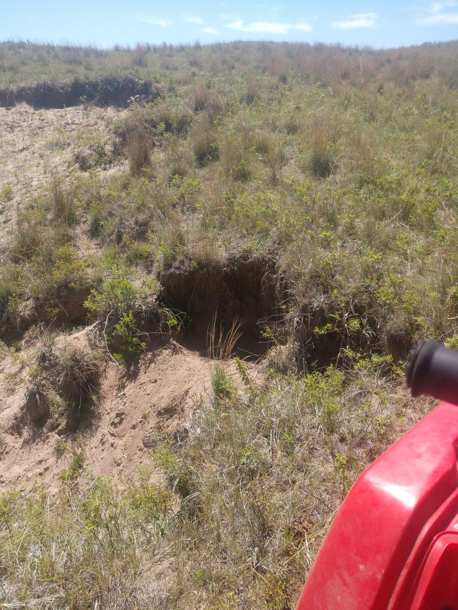 Deer Dens General Chat Red Power Magazine Community