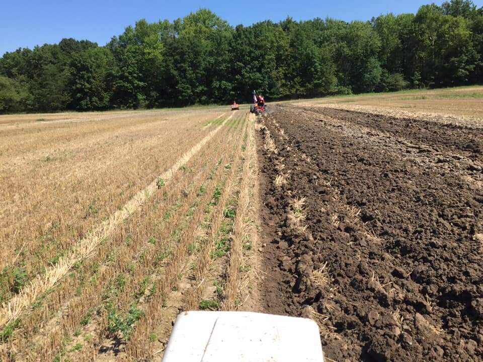 Alvordton Ohio 2020 plow day General Chat Red Power Magazine Community