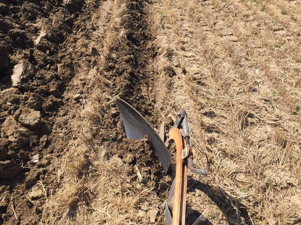 Alvordton Ohio 2020 plow day General Chat Red Power Magazine Community