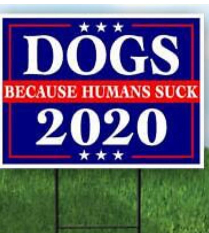 858F7161-85E8-44E6-AA67-2AD7D97000D0.thumb.jpeg.60135ab57376fd204cfda1ddecdbbbac.jpeg