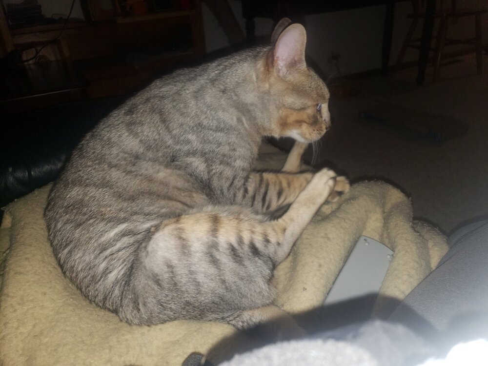 HCMC Burn unit Page 4 General Chat Red Power Magazine Community