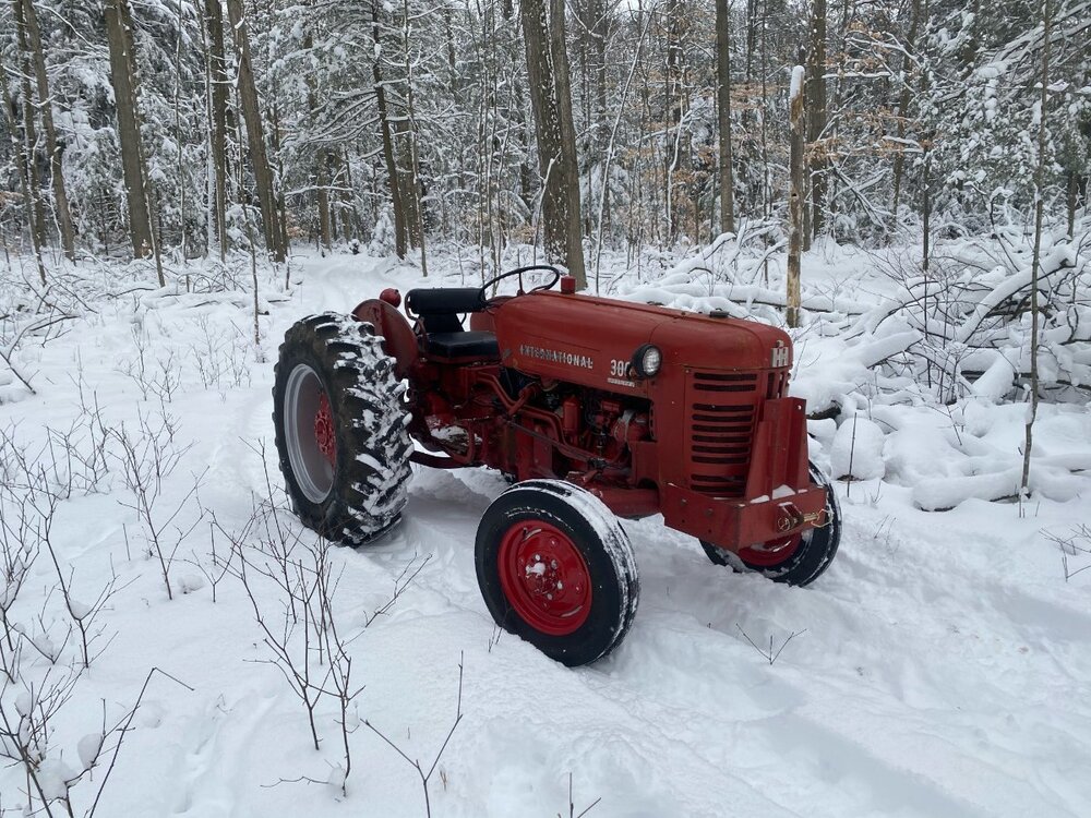 300 Snowy.jpeg