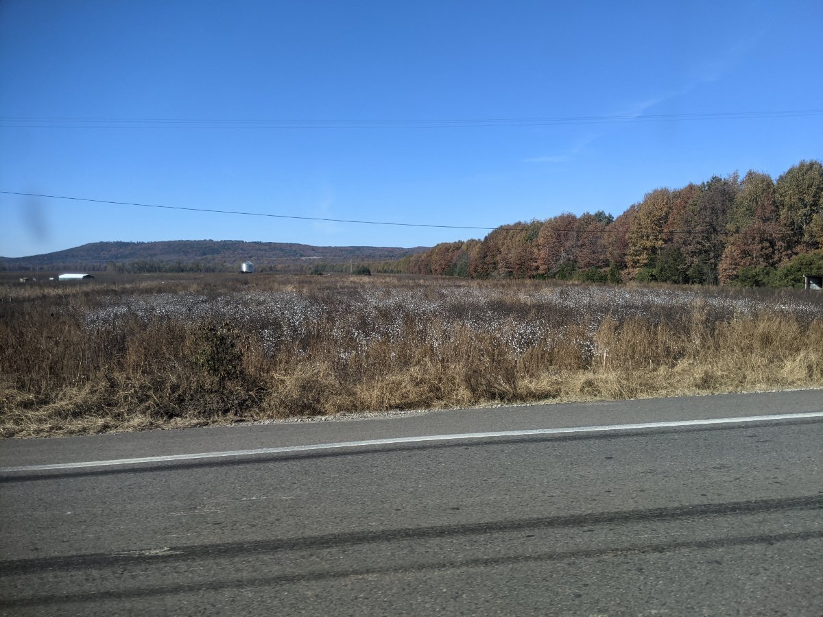 2023 crop pics Page 19 General Chat Red Power Magazine Community