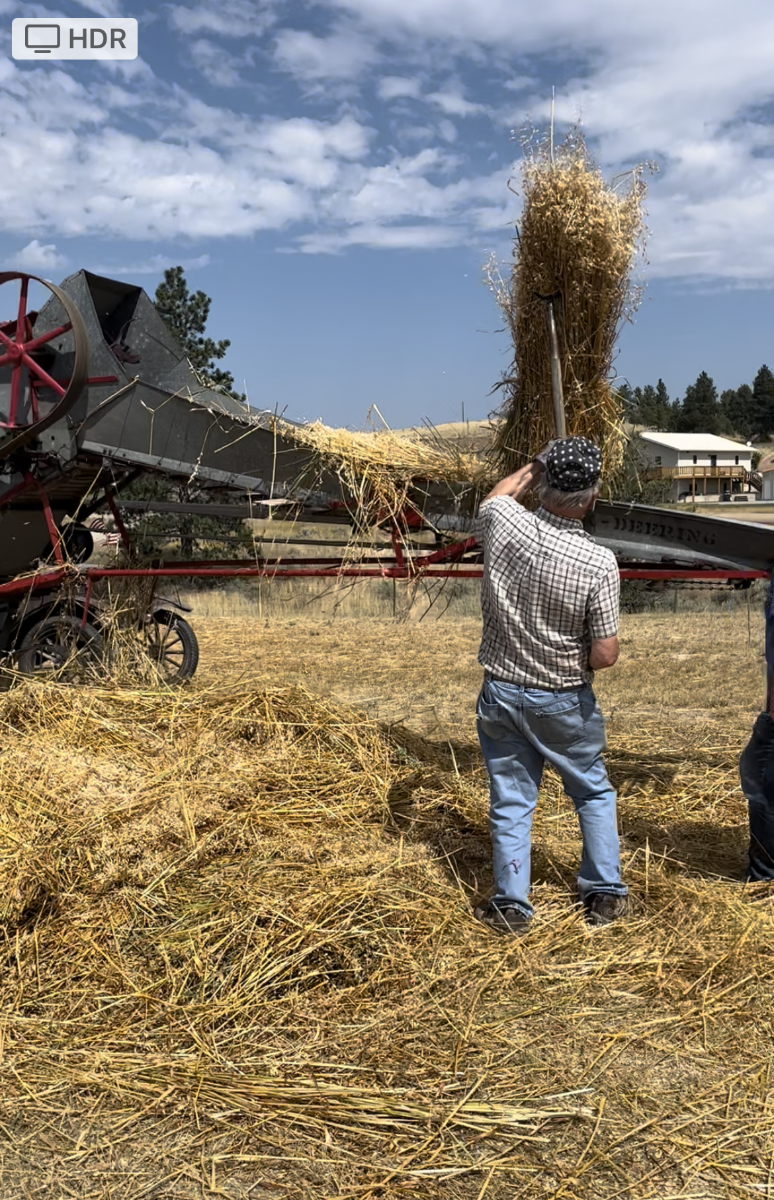 IH Tractors on Montana Farm - Page 1002 - General Chat - Red Power ...