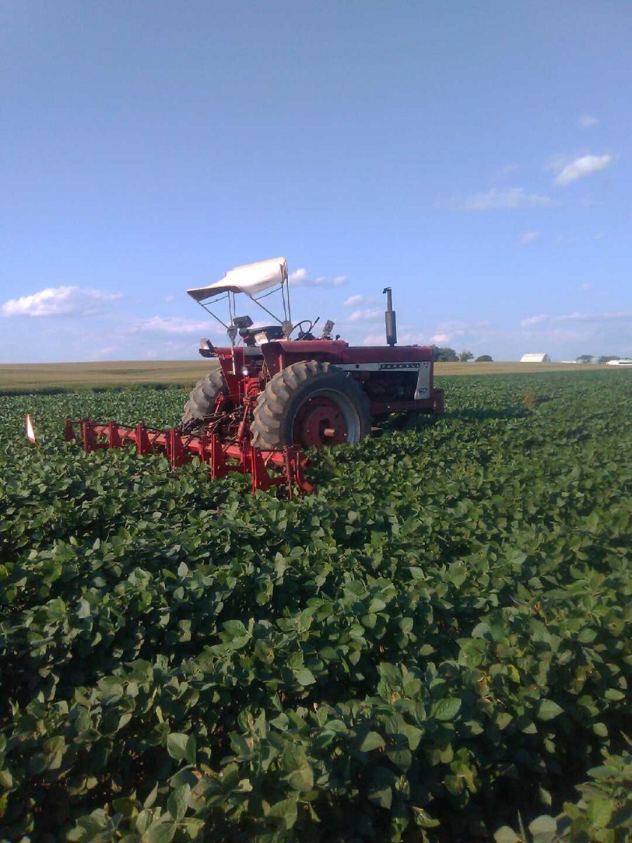 What did you do with your Red tractor today? - Page 103 - General Chat ...