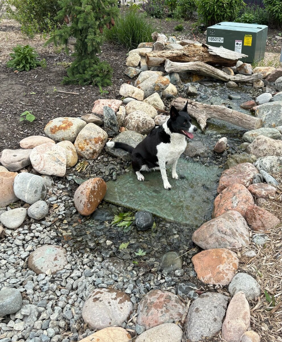 What’s this actually called? I call it a beagle box - General Chat ...