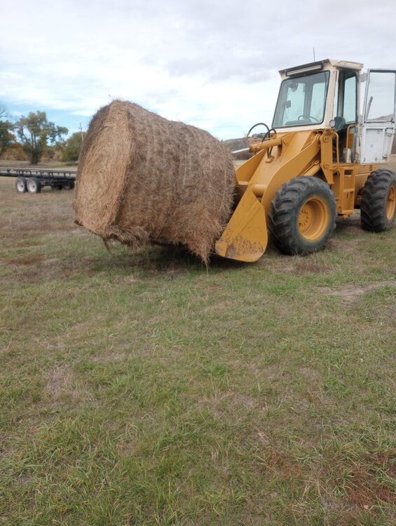 IH 510 payloader - Page 4 - IH Construction Equipment - Red Power ...