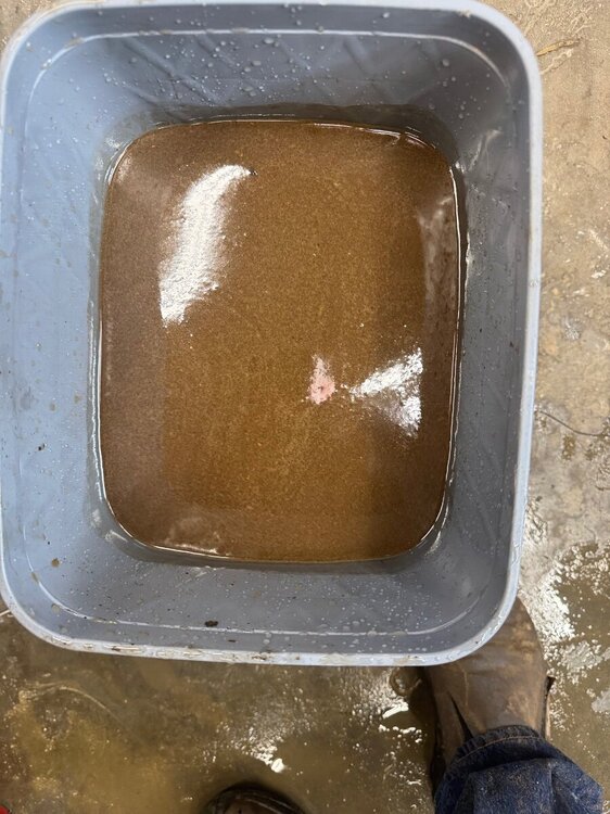 Removing rust from cast iron radiator tanks - Page 2 - Technical IH ...