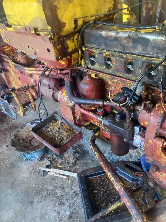 engine degreased.jpg
