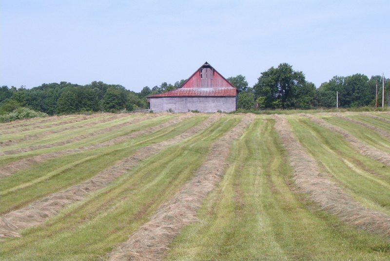 PicturesHuge Old Round Barn In Kansas General Chat Red Power